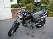 1998 Honda SLR 650 photo